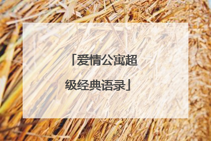 爱情公寓超级经典语录