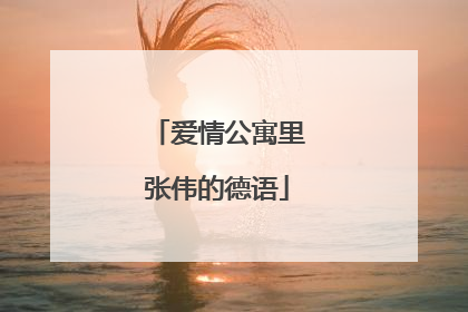 爱情公寓里张伟的德语