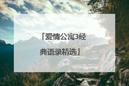 爱情公寓3经典语录精选