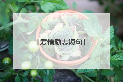 爱情励志短句