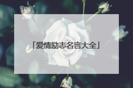 爱情励志名言大全