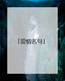 爱情名句