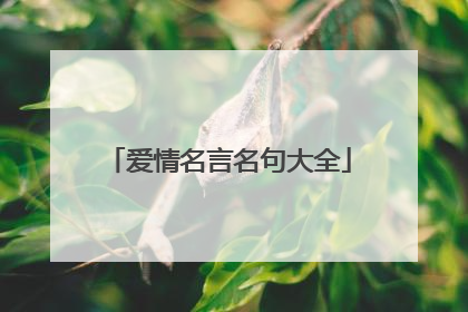 爱情名言名句大全