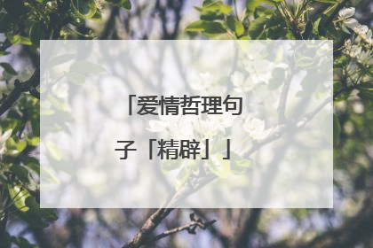 爱情哲理句子「精辟」