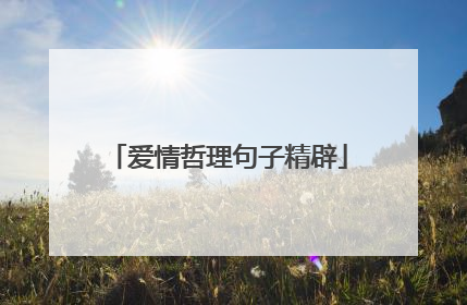 爱情哲理句子精辟
