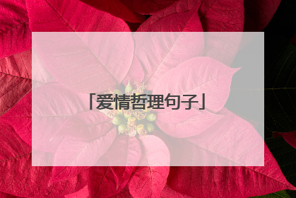 爱情哲理句子