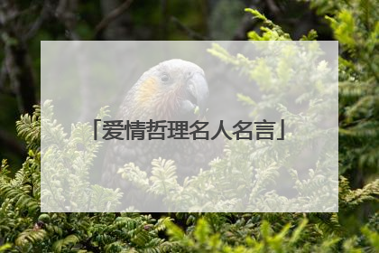 爱情哲理名人名言