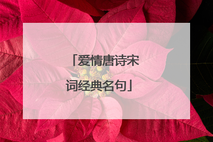 爱情唐诗宋词经典名句