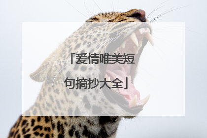 爱情唯美短句摘抄大全