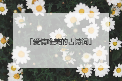 爱情唯美的古诗词
