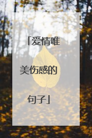 爱情唯美伤感的句子