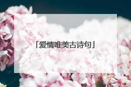爱情唯美古诗句