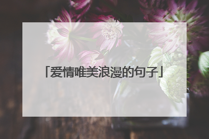 爱情唯美浪漫的句子