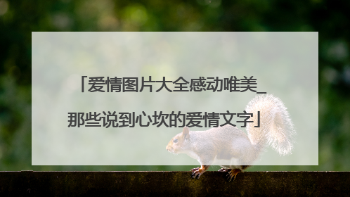 爱情图片大全感动唯美_那些说到心坎的爱情文字