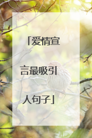 爱情宣言最吸引人句子