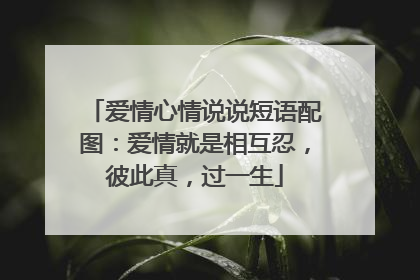 爱情心情说说短语配图：爱情就是相互忍，彼此真，过一生