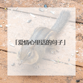 爱情心里话的句子