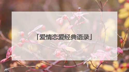 爱情恋爱经典语录