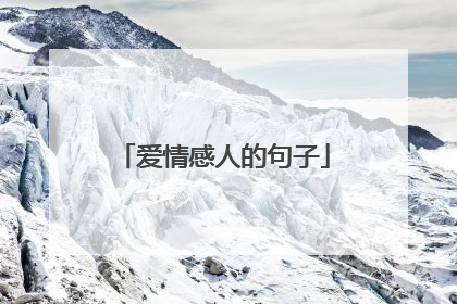 爱情感人的句子