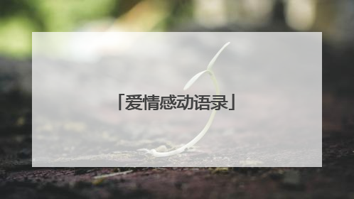 爱情感动语录