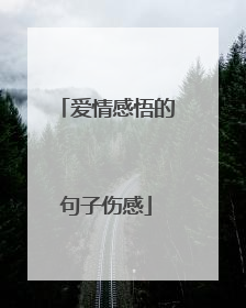 爱情感悟的句子伤感