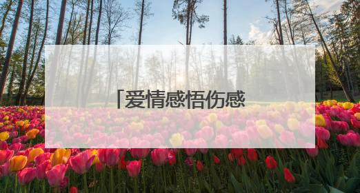 爱情感悟伤感语录句子大全