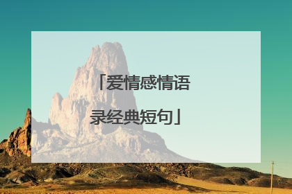 爱情感情语录经典短句