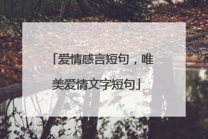 爱情感言短句，唯美爱情文字短句