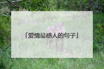 爱情最感人的句子