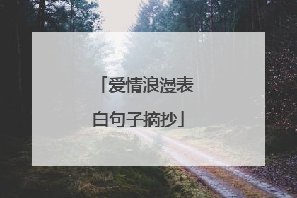 爱情浪漫表白句子摘抄
