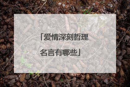爱情深刻哲理名言有哪些