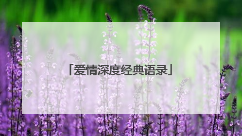 爱情深度经典语录