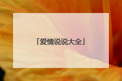爱情说说大全