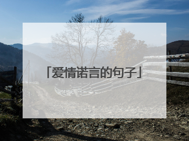 爱情诺言的句子