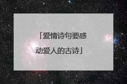 爱情诗句要感动爱人的古诗