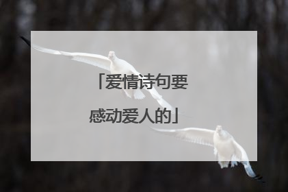 爱情诗句要感动爱人的
