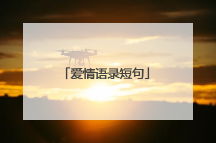 爱情语录短句