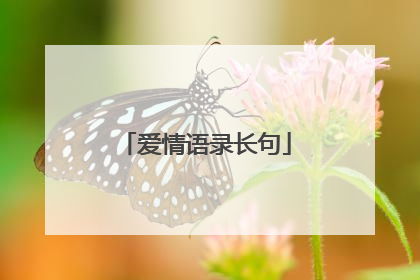 爱情语录长句
