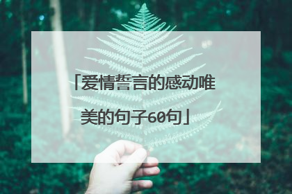 爱情誓言的感动唯美的句子60句