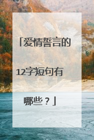 爱情誓言的12字短句有哪些？