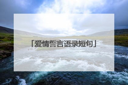 爱情誓言语录短句