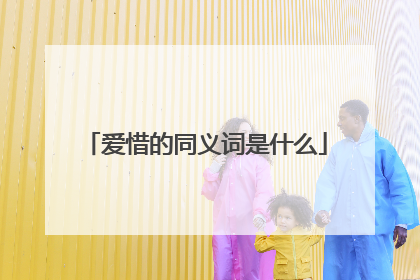 爱惜的同义词是什么