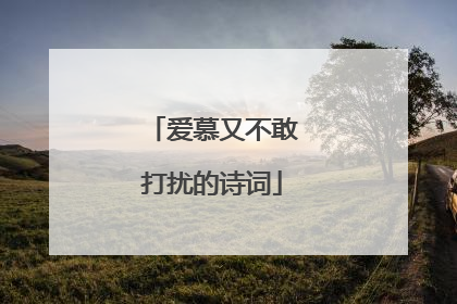 爱慕又不敢打扰的诗词