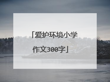 爱护环境小学作文300字