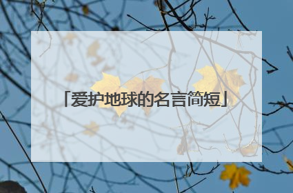 爱护地球的名言简短