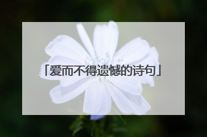 爱而不得遗憾的诗句