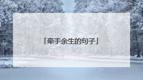 牵手余生的句子