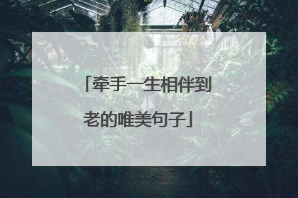 牵手一生相伴到老的唯美句子