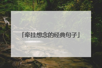 牵挂想念的经典句子
