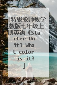 特级教师教学人教版七年级上册英语《Starter Unit3 What color is it?